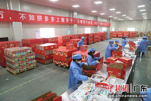 拼多多年货节销售额破2亿单，广东购买力领跑全国，食品品类表现突出