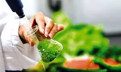 警惕网购食品安全 解读12批次抽检不合格事件与技术服务责任